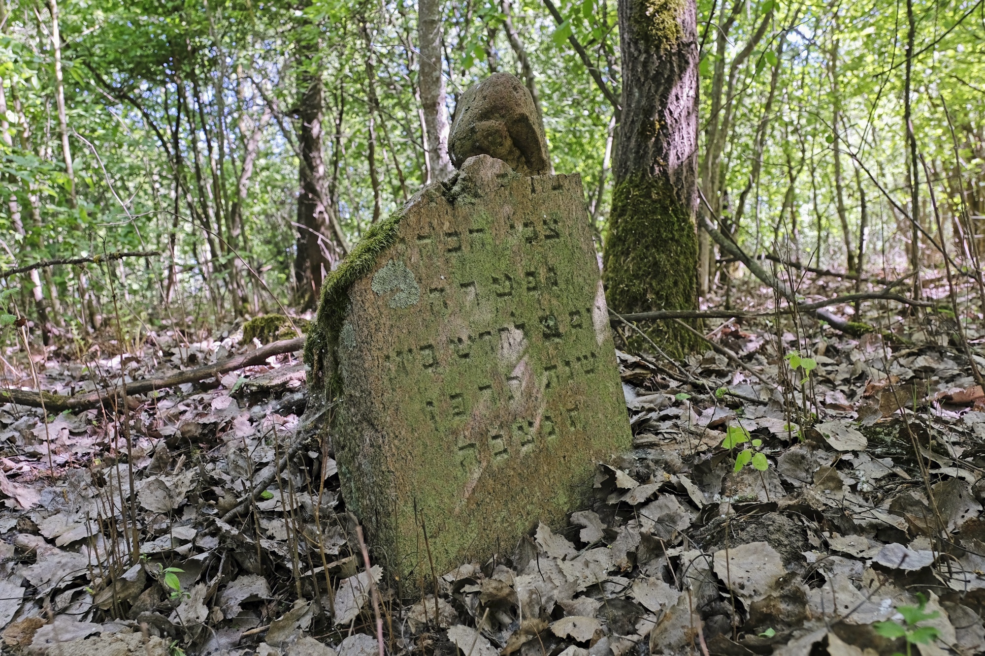 Nr. 15.jpg